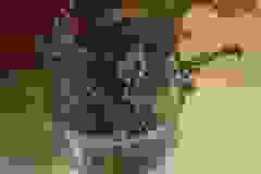 Dbamy o naszą planetę