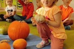 IMG-20241031-WA0058