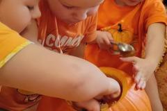 IMG-20241031-WA0071