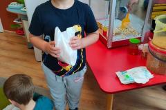 IMG-20250602-WA0018
