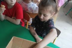 IMG20250602121351