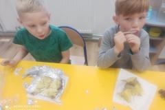IMG-20221019-WA0034