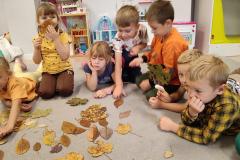 550499077_1192900526191463_6280975981804043142_n