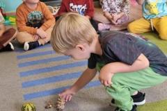 552448628_1192900959524753_1929148218227432029_n