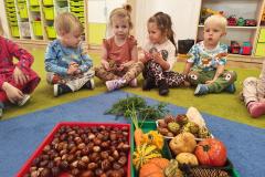 552885618_1192904639524385_5455570839413311655_n