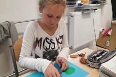 Poznajemy drzewa - klasa III.