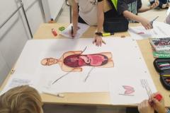 Projekt interdyscyplinarny „Człowiek” –  w klasach I-III.