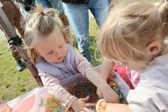 IMG-20250606-WA0223