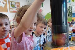 IMG-20250529-WA0001