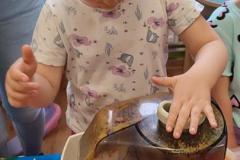 IMG-20250531-WA0016