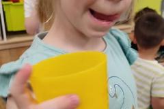 IMG-20250531-WA0034