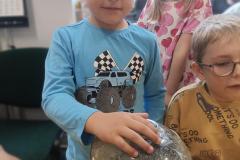 IMG20250529101038
