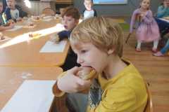 IMG-20220224-WA0041