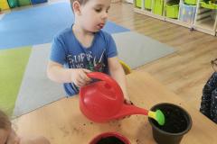 IMG_20230329_105141