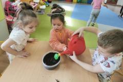 IMG_20230329_105157