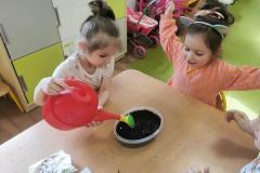 IMG_20230329_105203