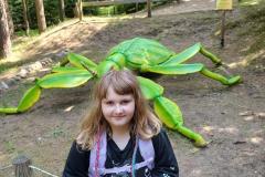 IMG-20250613-WA0113