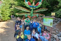 IMG-20250613-WA0118