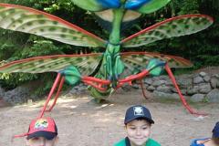 IMG-20250613-WA0120