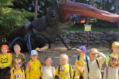 IMG-20250613-WA0146