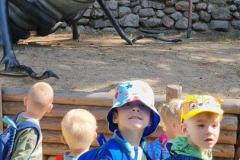 IMG-20250614-WA0017