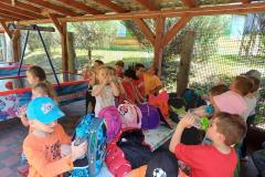 IMG-20250614-WA0065