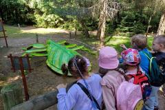 IMG-20250614-WA0116