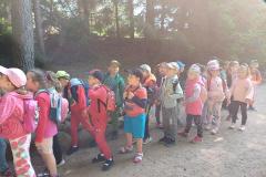 IMG-20250614-WA0118
