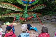 IMG-20250614-WA0123