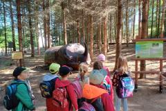 IMG-20250614-WA0131