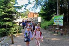 IMG-20250614-WA0133