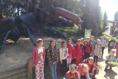 IMG20250613100946