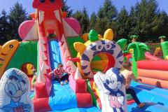 IMG20250613111615