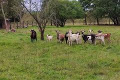 1_IMG-20250930-WA0129