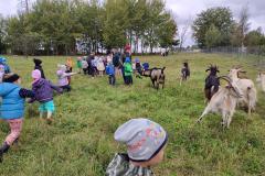 1_IMG-20250930-WA0134