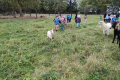 1_IMG-20250930-WA0135