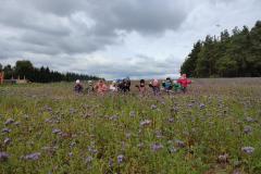 1_IMG-20250930-WA0141