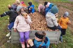 1_IMG-20251001-WA0001