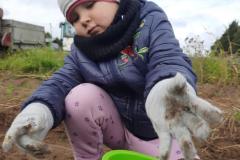 1_IMG-20251001-WA0025