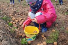 1_IMG-20251001-WA0046