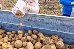 IMG_20250930_101709_1