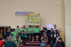 ZIEMIA, TRAWA, DRZEWO, LIŚĆ,  WIOSNA PRZYSZŁA DZIŚ…..