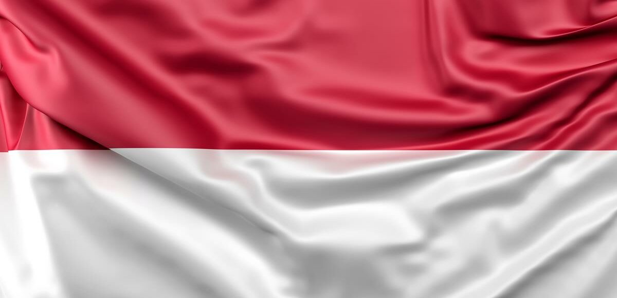 flag of indonesia