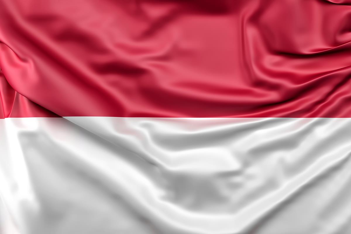 flag of indonesia